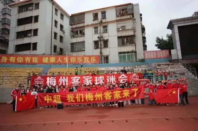 手机免费播放